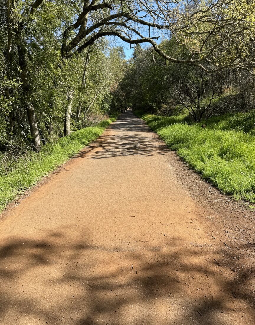 Best Playgrounds in Sonoma County (2026)